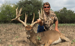 dove hunting trips south texas